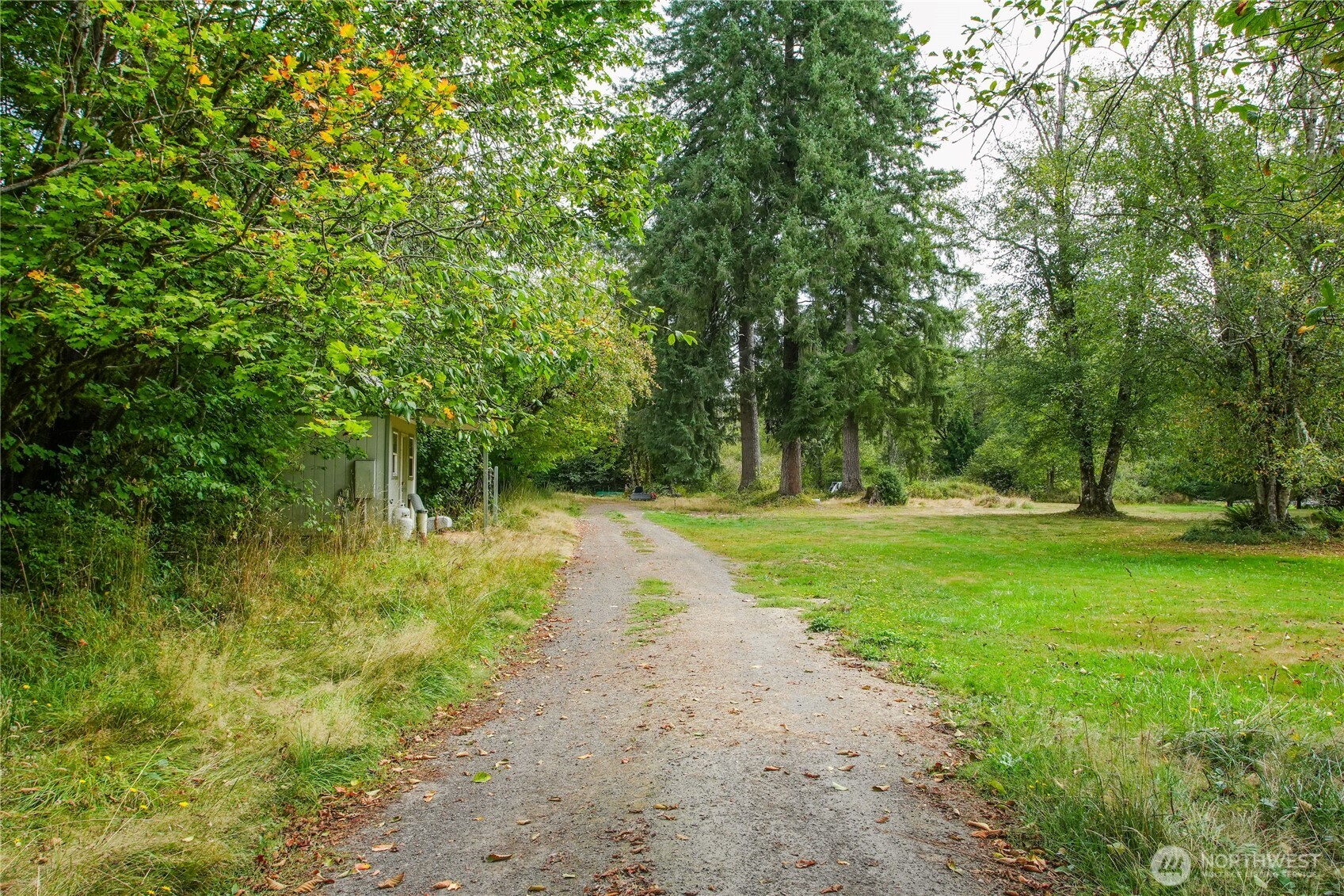 459 View Ridge Road Onalaska, WA 98570 - Photo 2 of 24 a view of backyard with green space