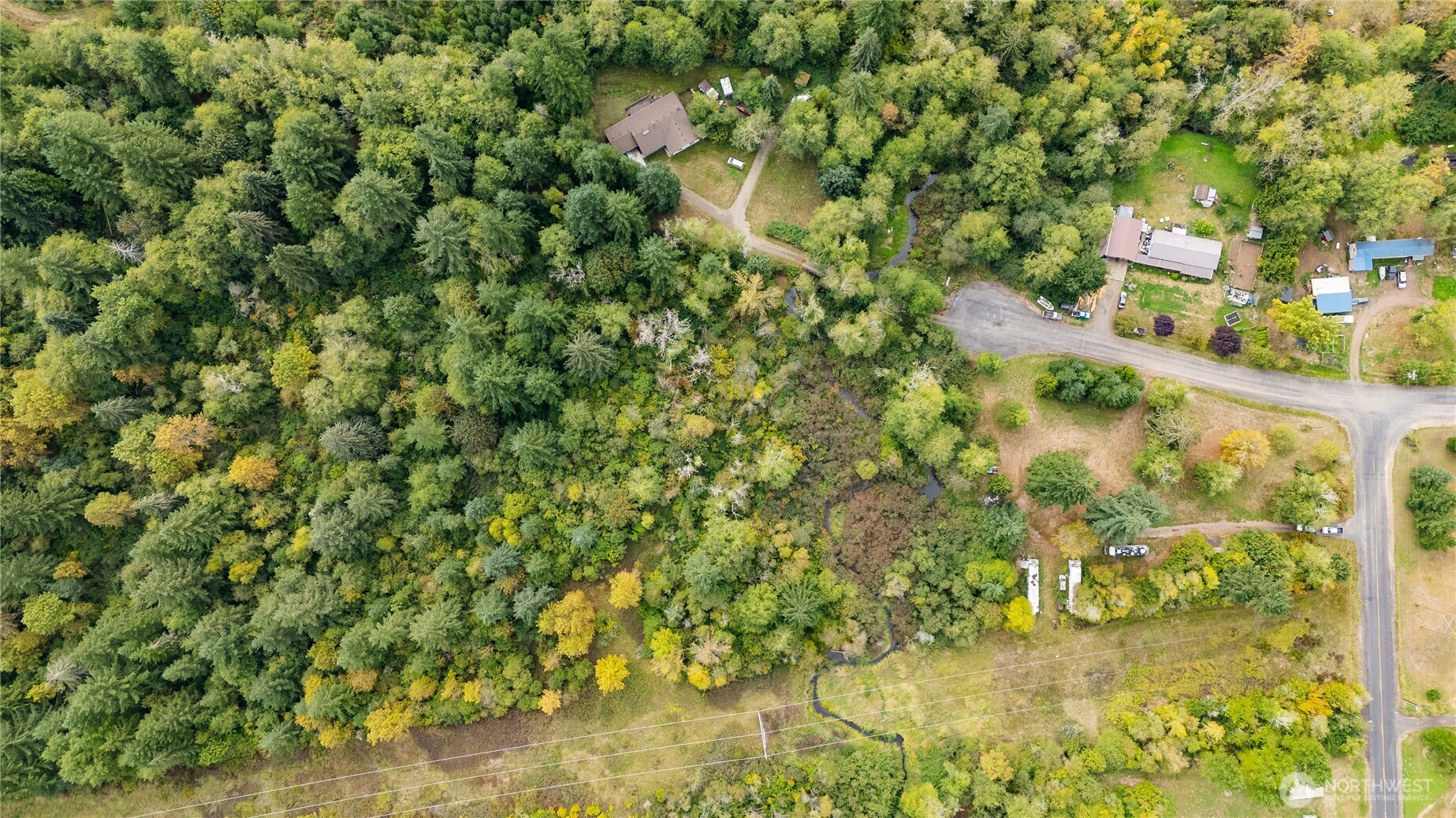 459 View Ridge Road Onalaska, WA 98570 - Photo 21 of 24 a view of a yard with plants