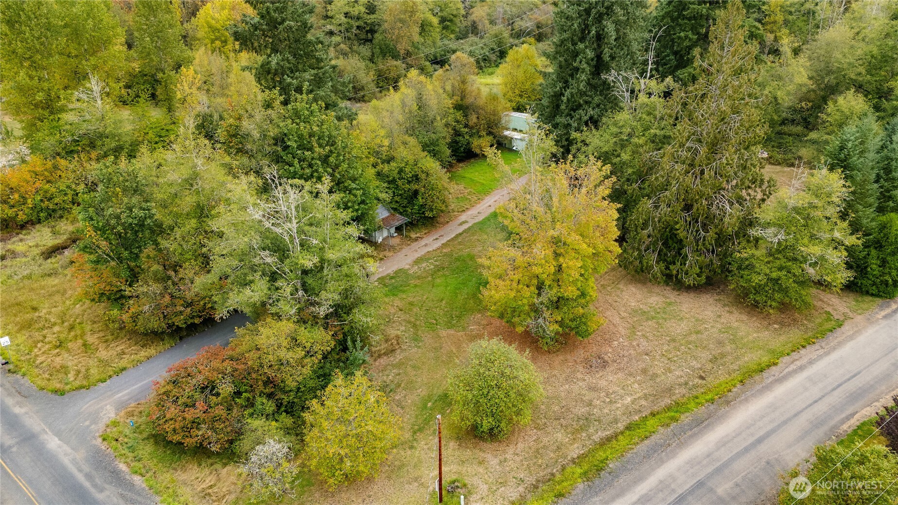 459 View Ridge Road Onalaska, WA 98570 - Photo 22 of 24 a view of a yard