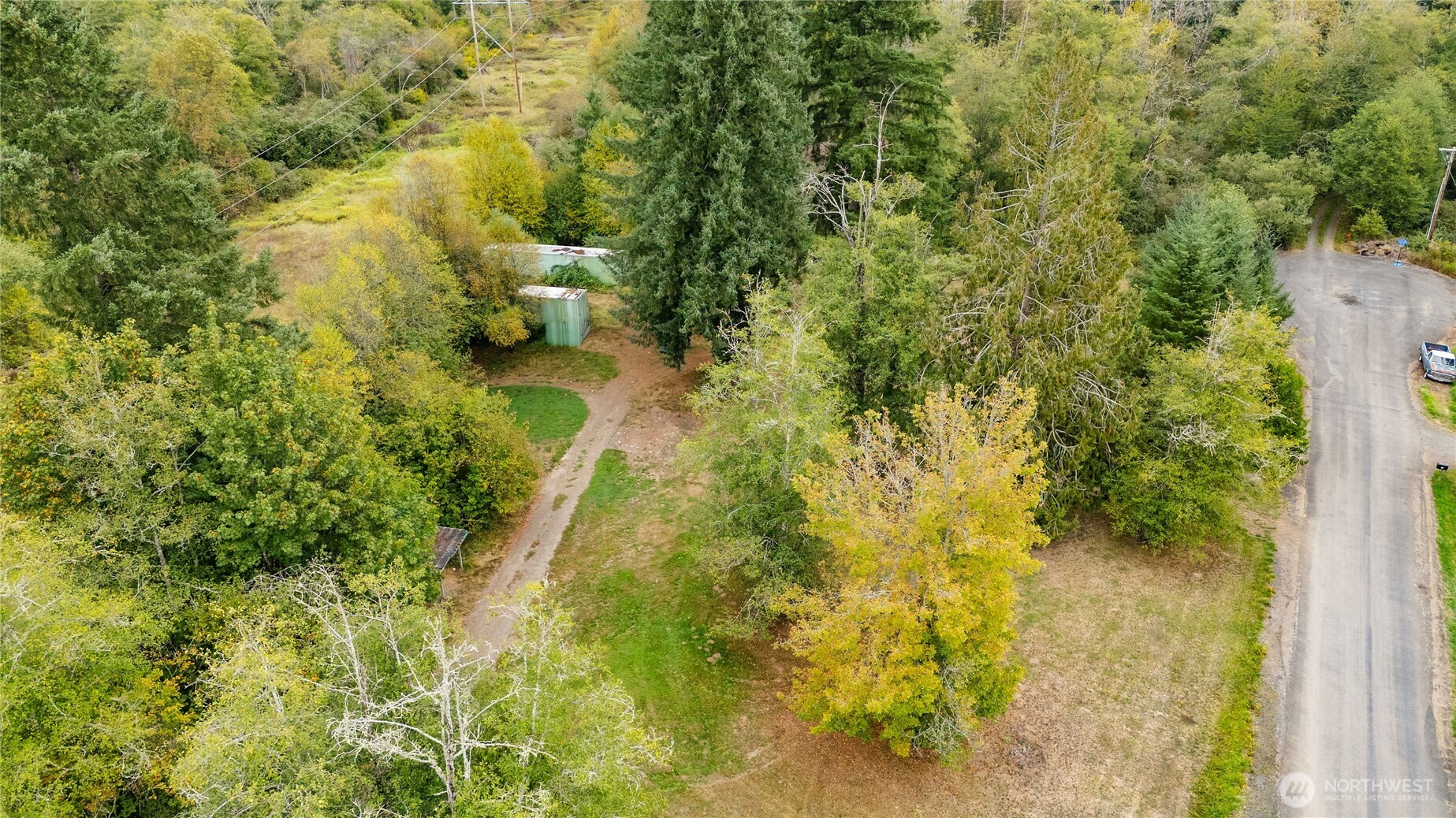 459 View Ridge Road Onalaska, WA 98570 - Photo 23 of 24 a yard with a trees