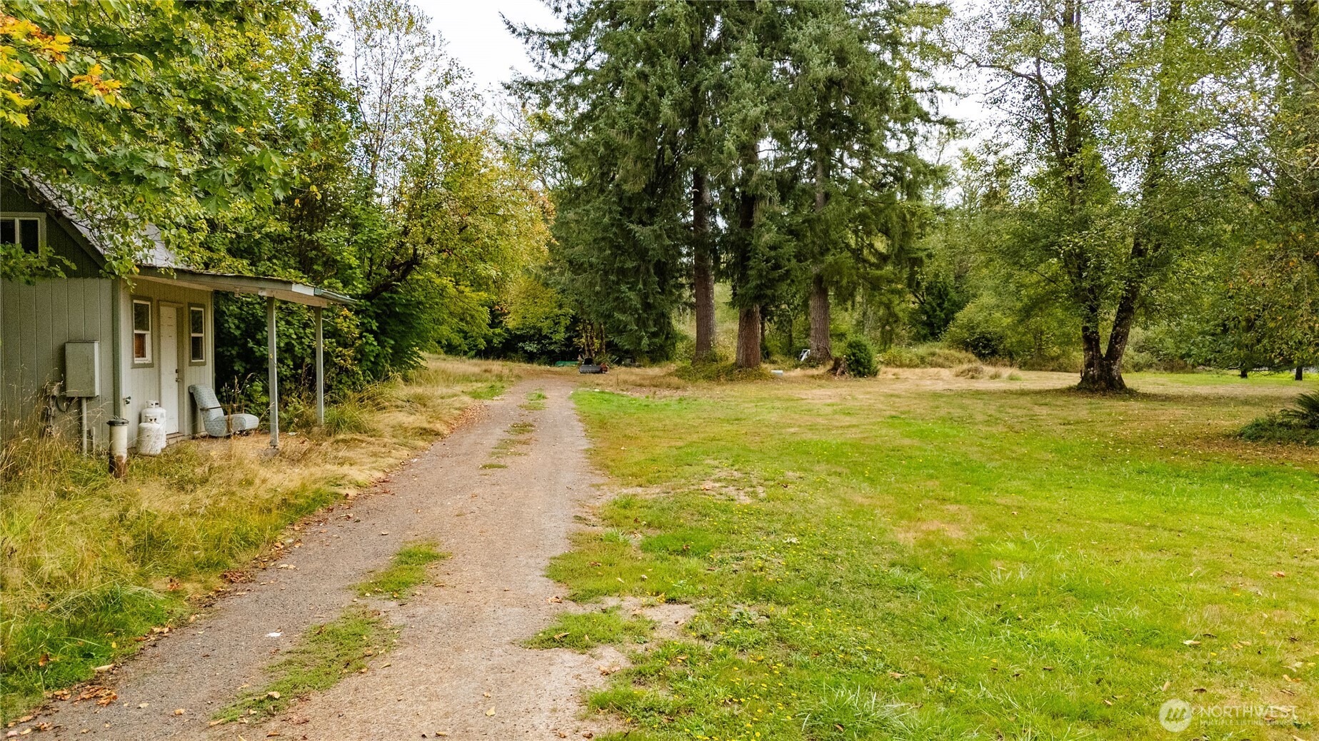 459 View Ridge Road Onalaska, WA 98570 - Photo 3 of 24 a view of yard with trees