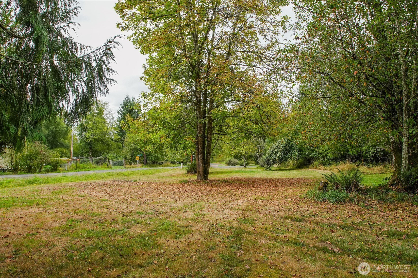 459 View Ridge Road Onalaska, WA 98570 - Photo 6 of 24 a view of a field with trees in the background