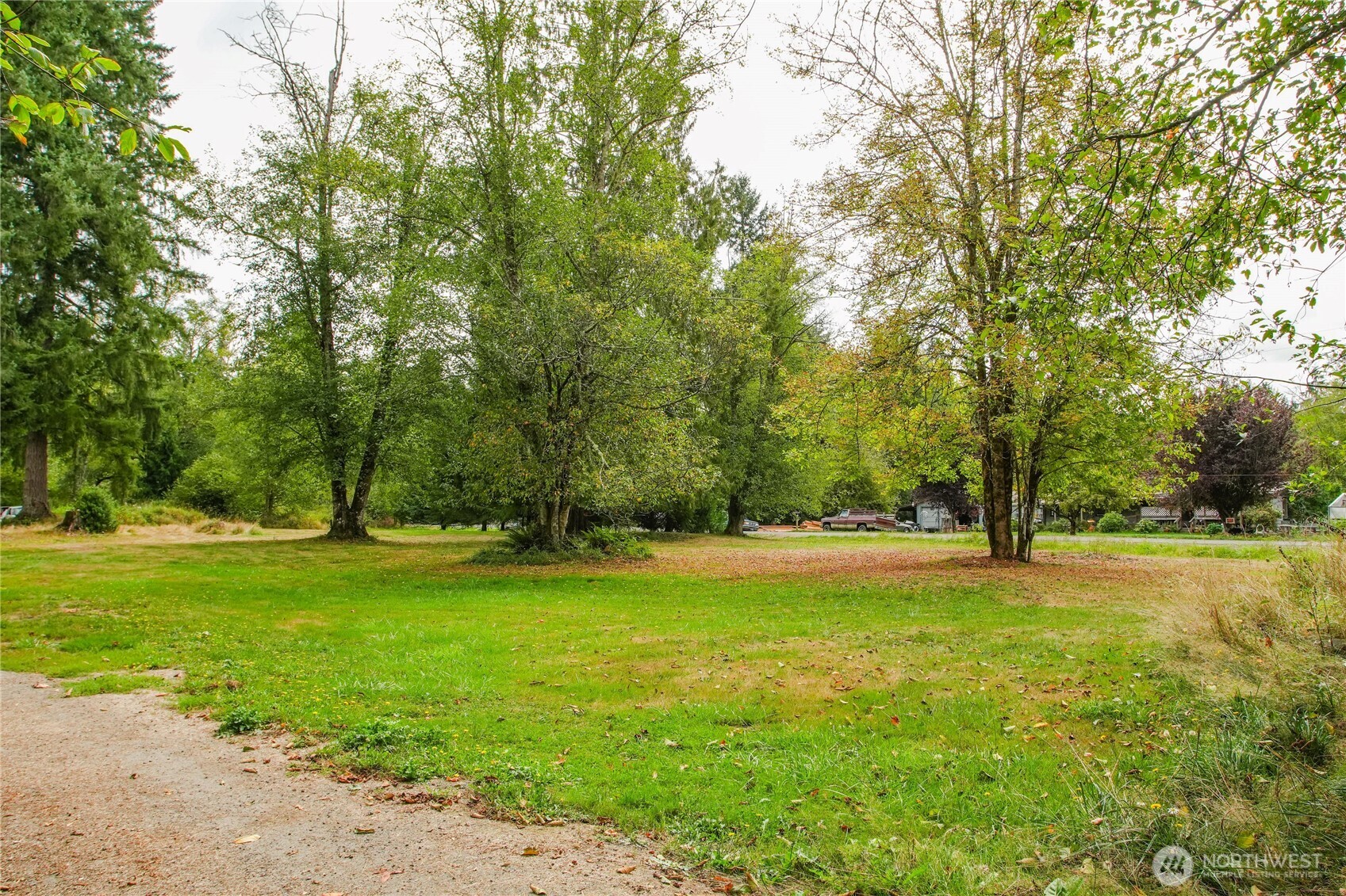 459 View Ridge Road Onalaska, WA 98570 - Photo 7 of 24 a big yard with lots of green space and trees