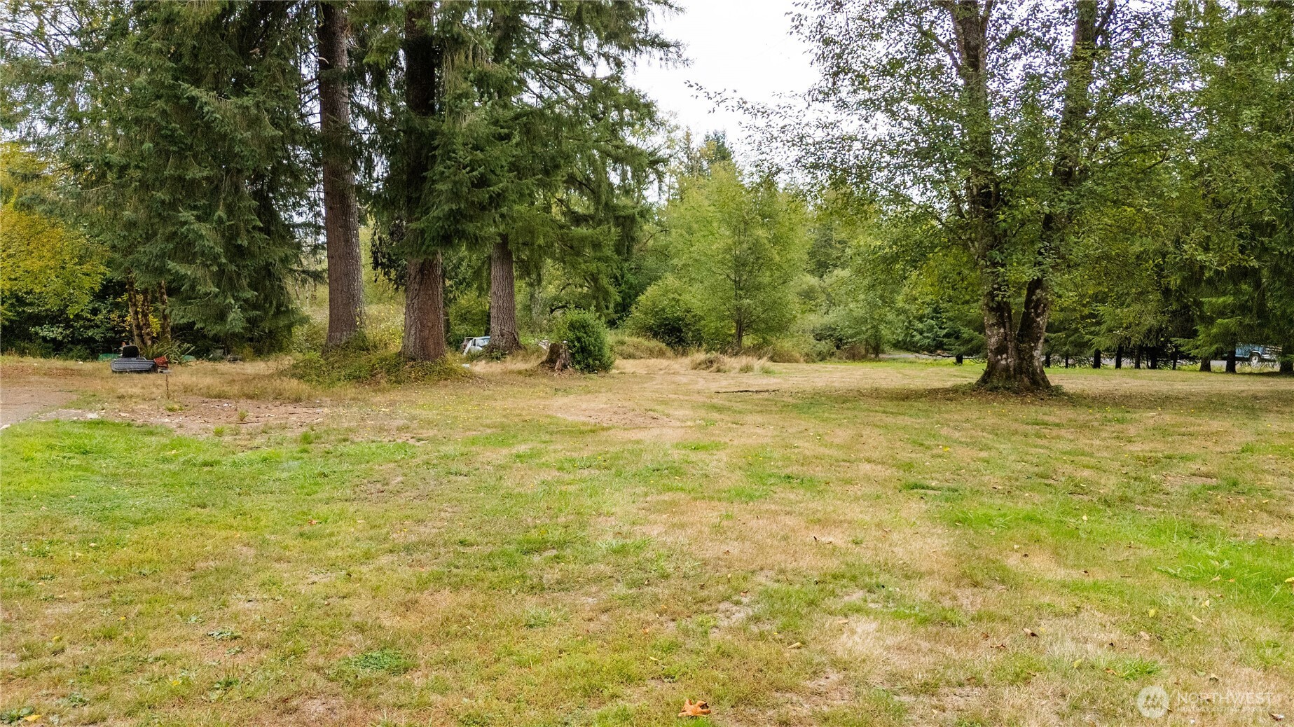 459 View Ridge Road Onalaska, WA 98570 - Photo 8 of 24 a view of outdoor space with trees
