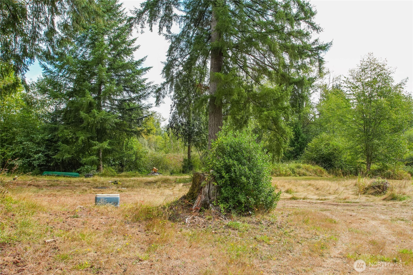 459 View Ridge Road Onalaska, WA 98570 - Photo 9 of 24 a view of a yard with trees