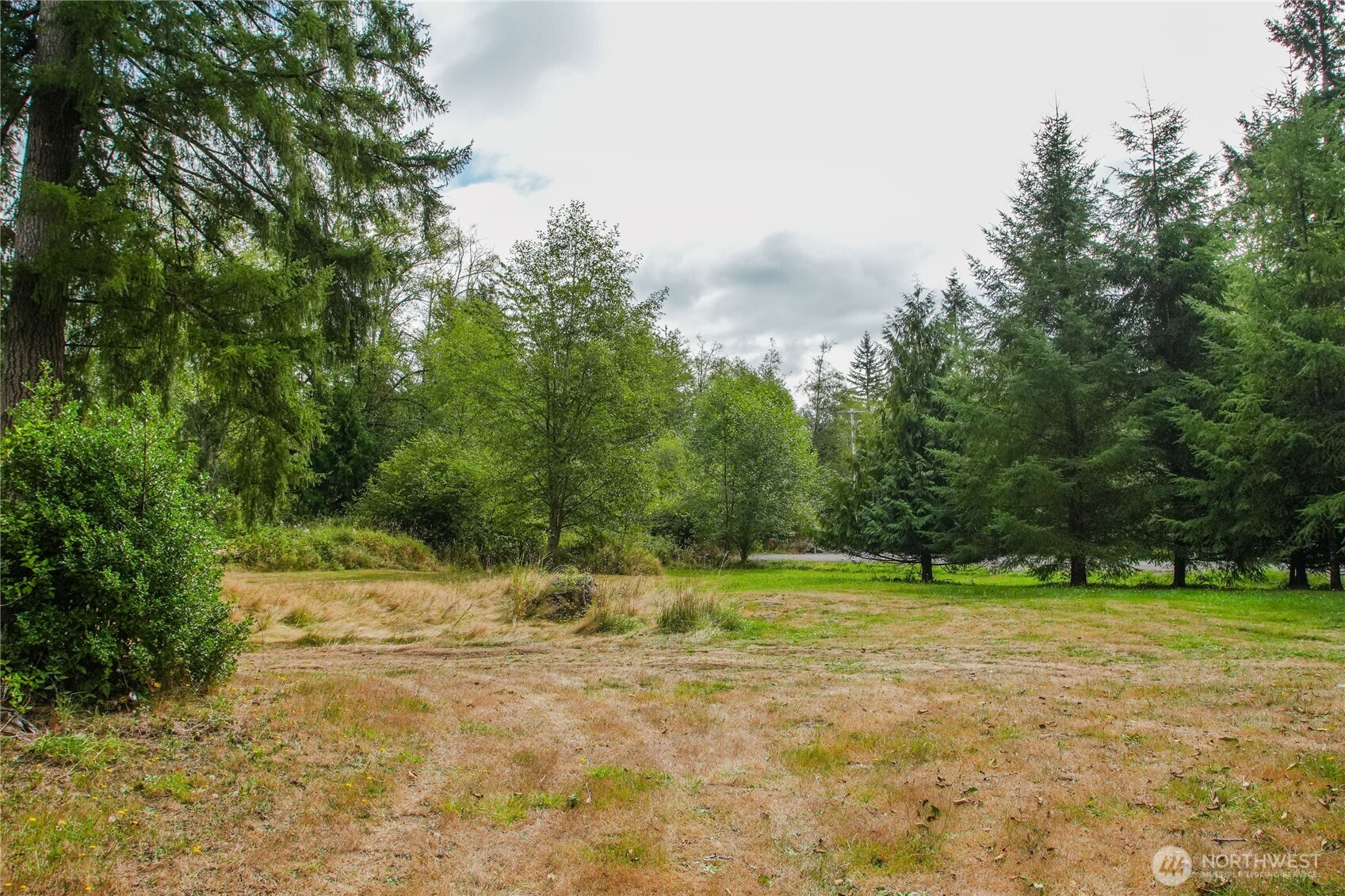 459 View Ridge Road Onalaska, WA 98570 - Photo 10 of 24 a view of a field with trees in the background