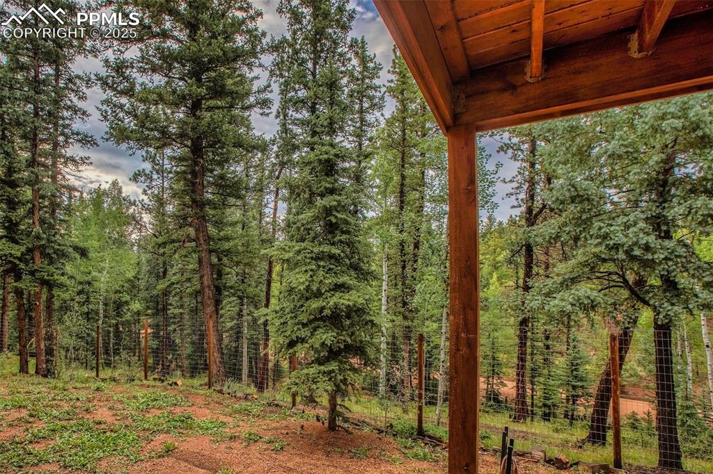 277 Aspen Circle Divide, CO 80814 - Photo 35 of 45 a view of a backyard of the house