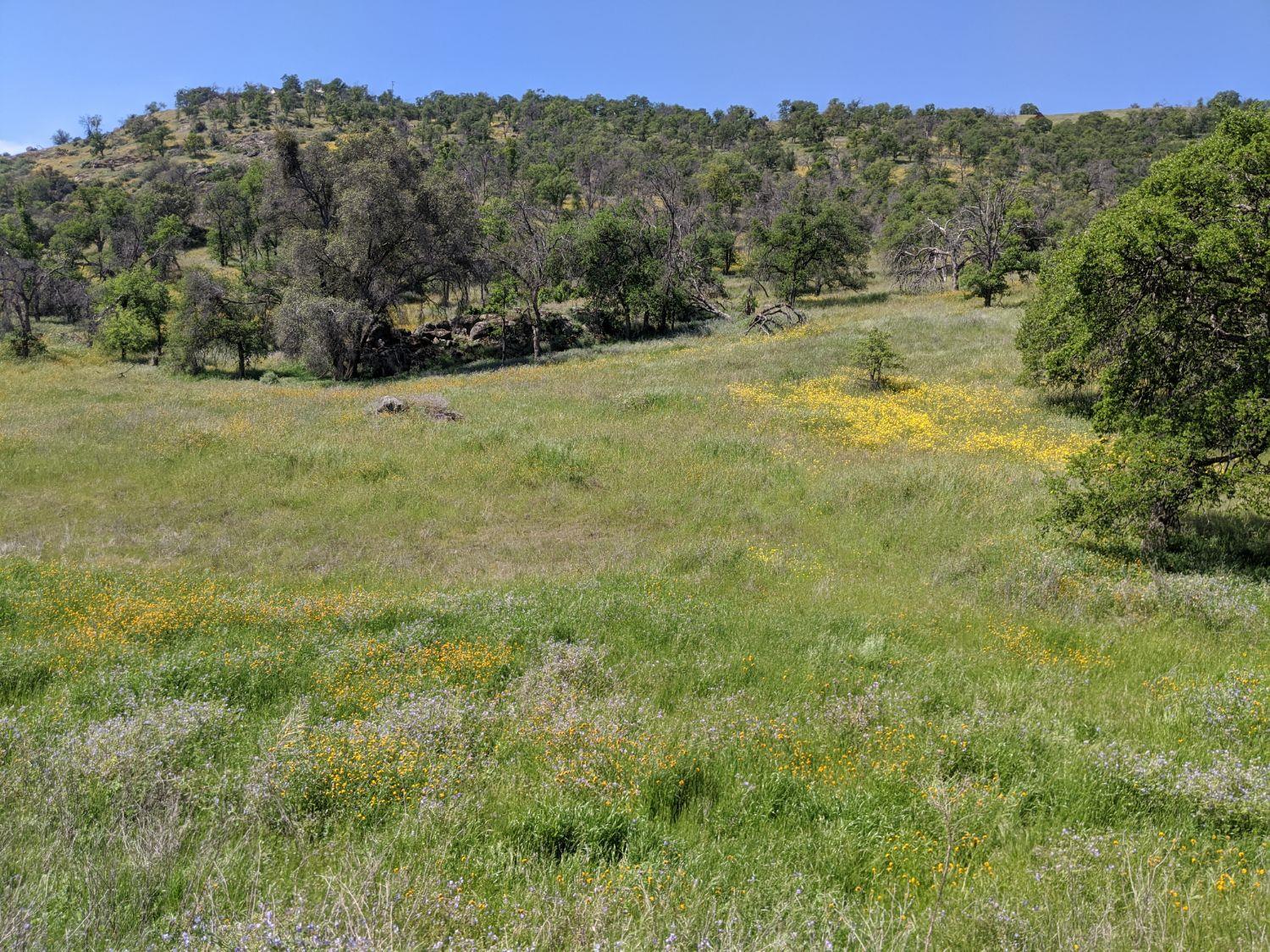 0 George Smith Road Squaw Valley, CA 93675 - Photo 2 of 4 Gallery Image 2