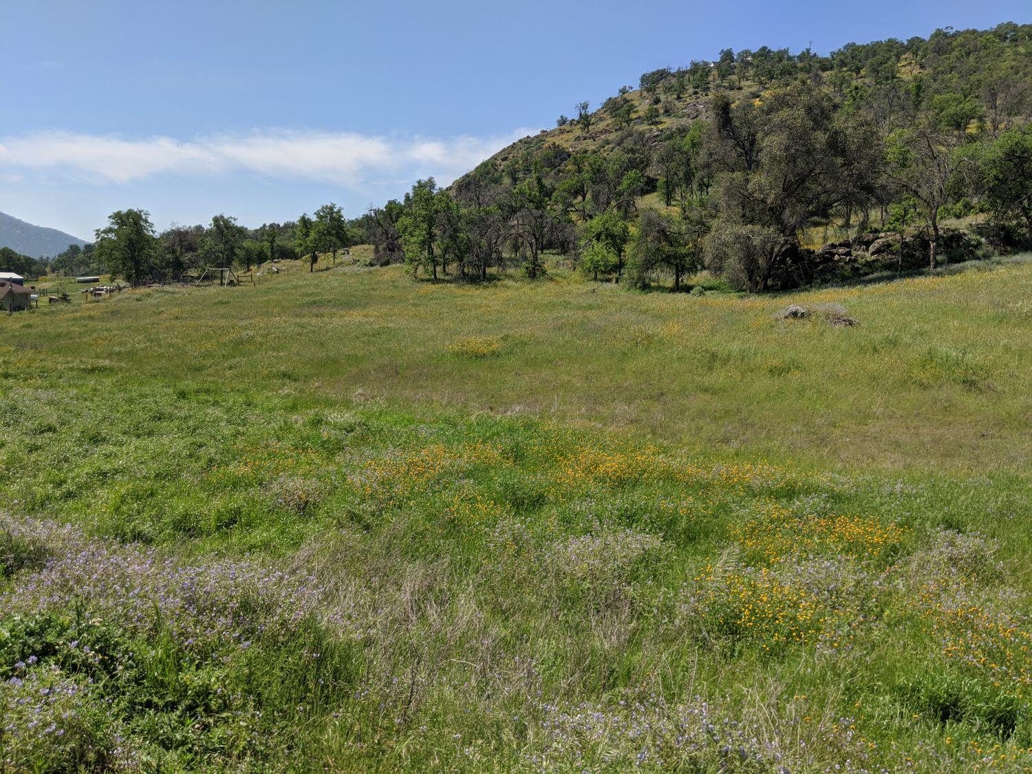 0 George Smith Road Squaw Valley, CA 93675 - Photo 3 of 4 Gallery Image 3