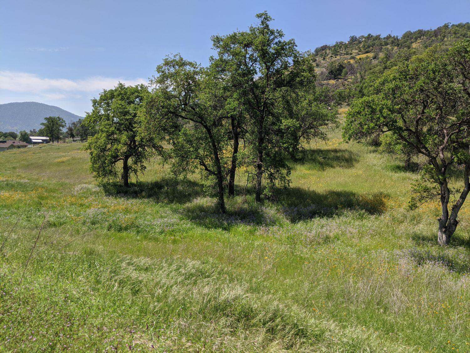 0 George Smith Road Squaw Valley, CA 93675 - Photo 4 of 4 Gallery Image 4