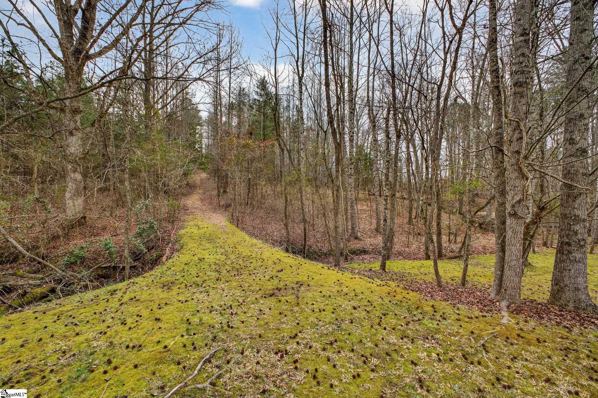 608 South 117 Woodruff, SC 29388 - Photo 32 of 43