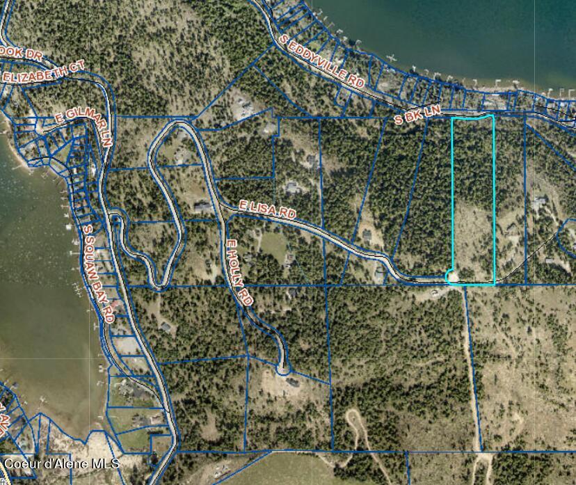 Lot 13 East Lisa Road Harrison, ID 83833 - Photo 6 of 30 LISA RD OVERVIEW
