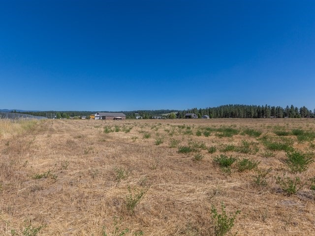 20118 North Yale Road Colbert, WA 99005 - Photo 20 of 20