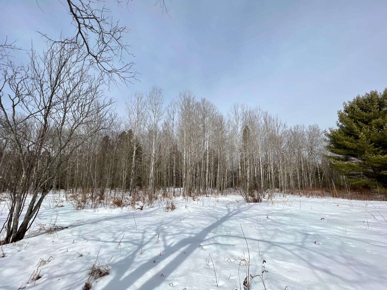 On Big Pine Drive Rhinelander, WI 54501 - Photo 11 of 19 Gallery Image 11