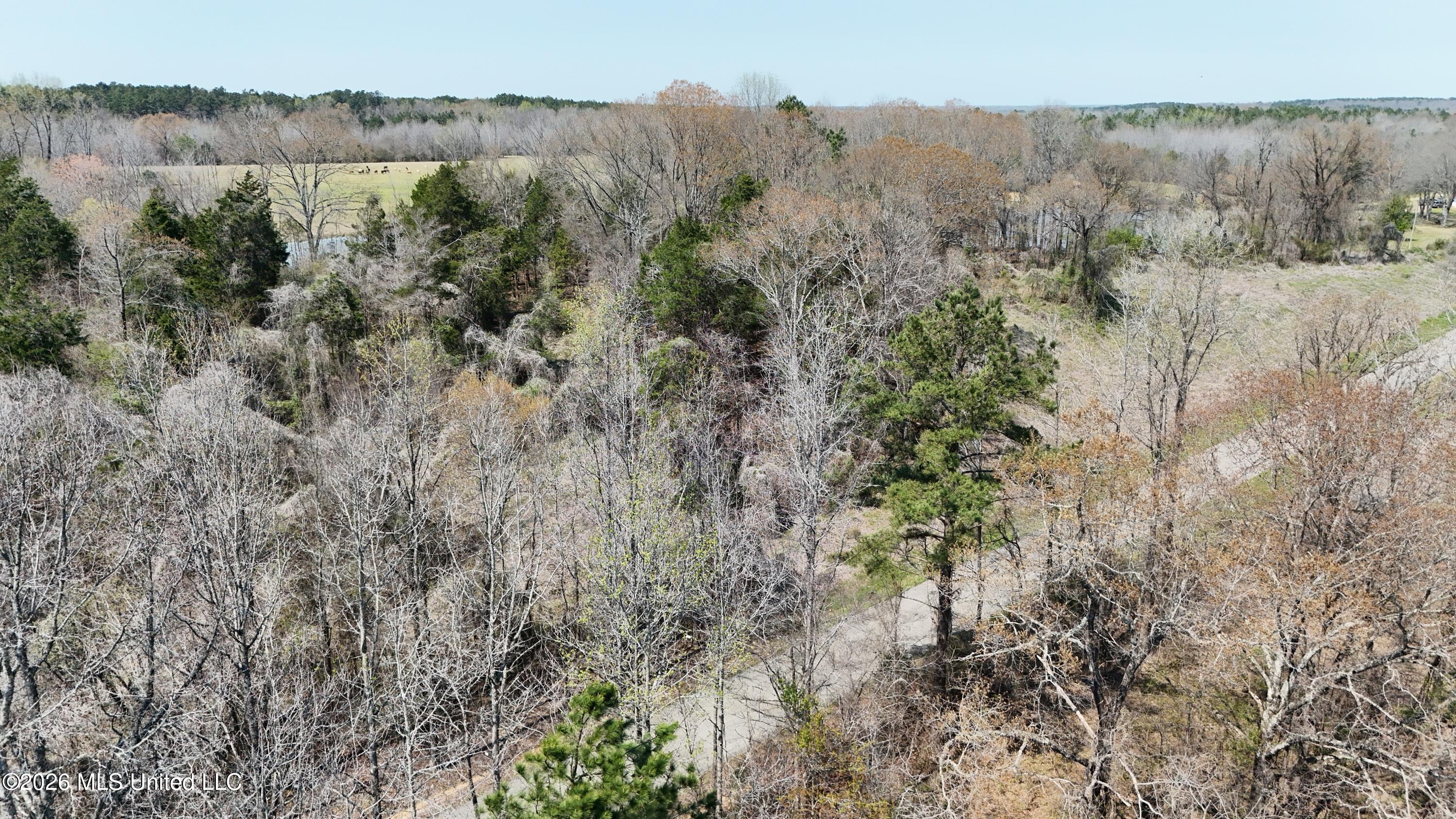 1200 Chulahoma Road Holly Springs, MS 38635 - Photo 16 of 46 DJI_20260321133037_0045_D