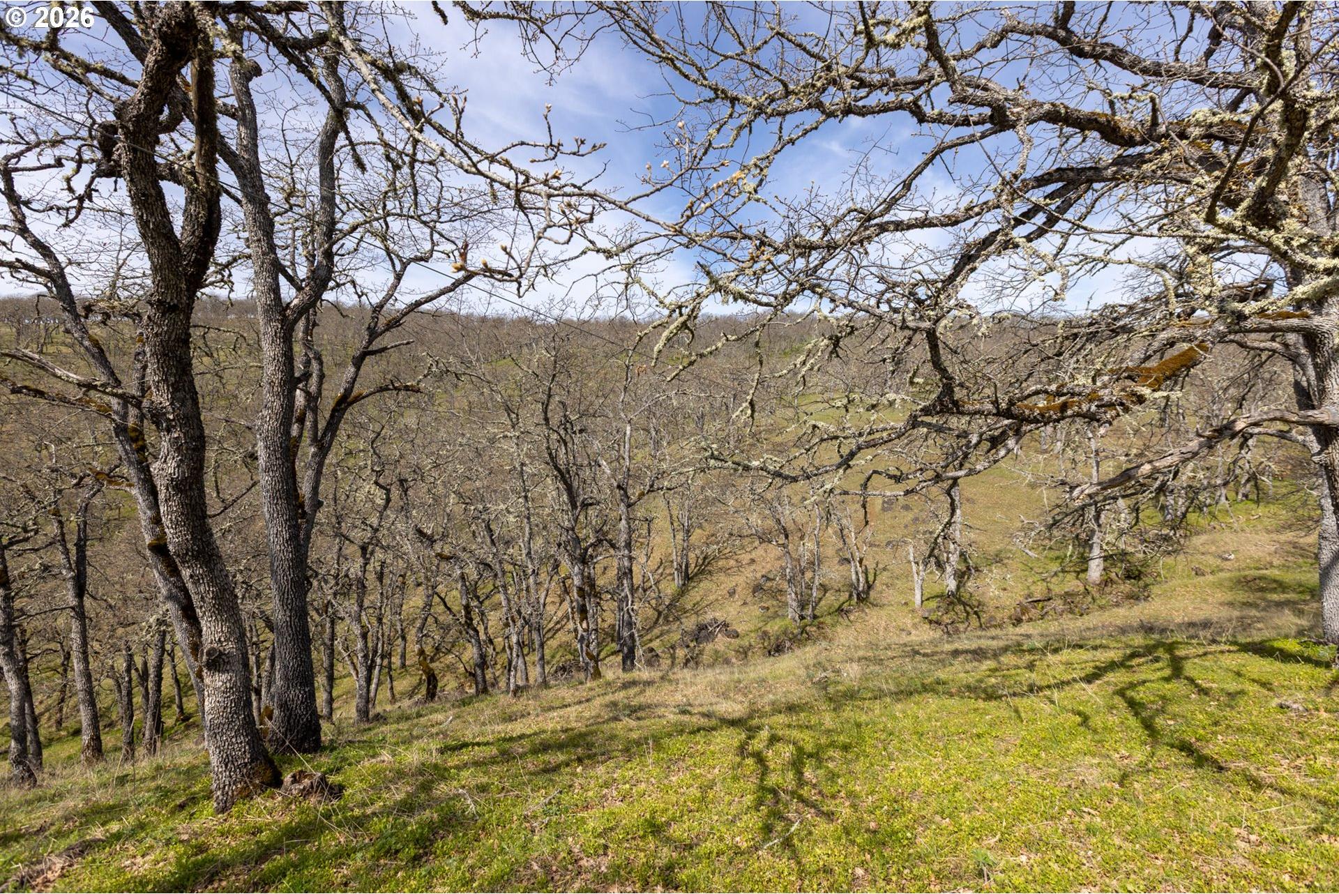 60 Hartwig Road Lyle, WA 98635 - Photo 18 of 44 Gallery Image 18