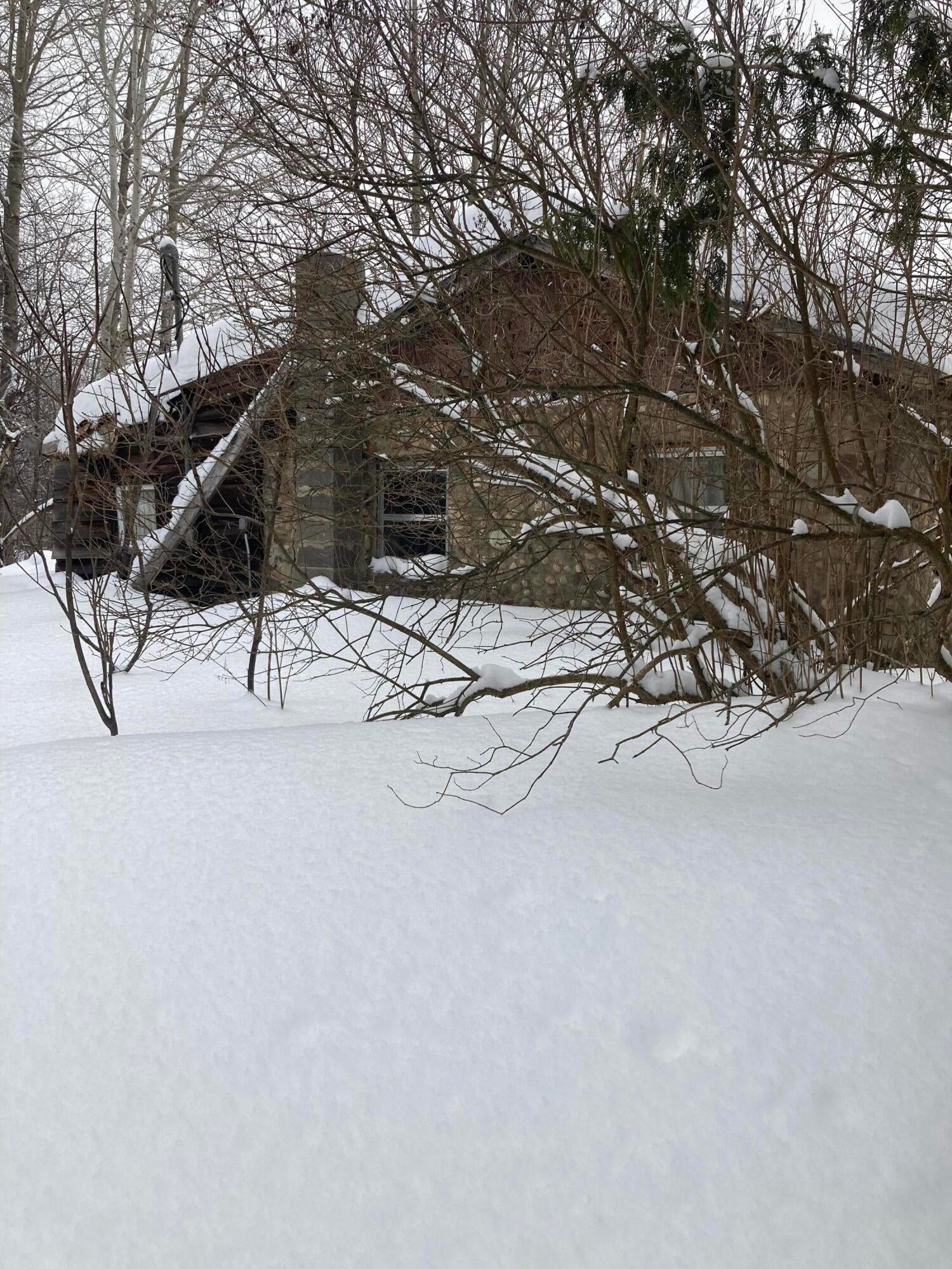 11511 Huffman Lake Road Vanderbilt, MI 49795 - Photo 5 of 7 Gallery Image 5