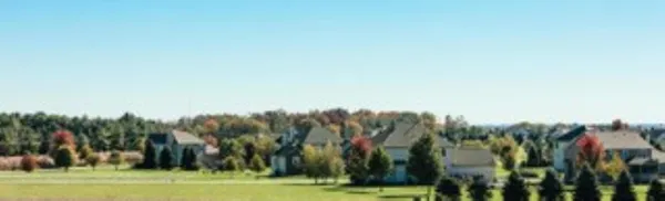 a view of a house with a yard and large tree