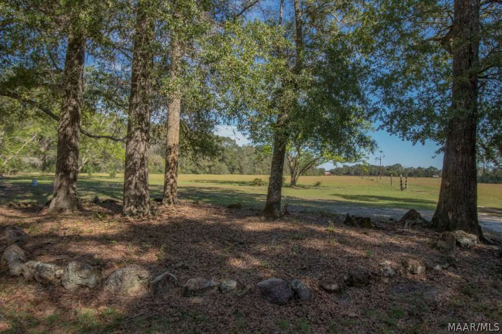 726 Spring Creek Road Geneva, AL 36340 - Photo 29 of 34 Gallery Image 29
