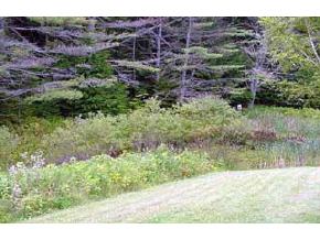 268 Sym Noyes Road Landaff, NH 03585 - Photo 3 of 3