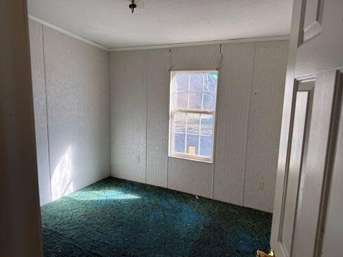 4533 Cleveland Street Elloree, SC 29047 - Photo 3 of 13 9cd9f768-8a25-49c2-8d54-c04b29b64ff0