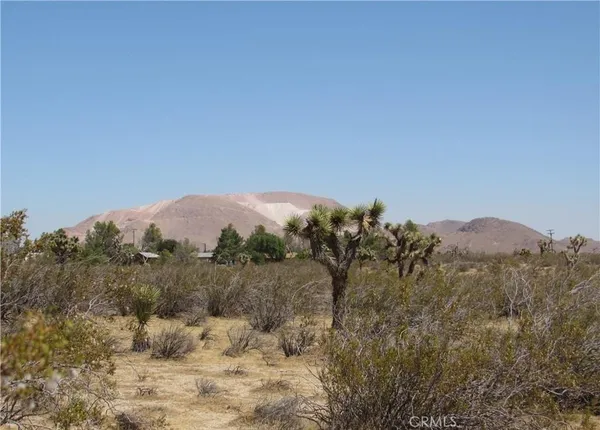a view of a mountain