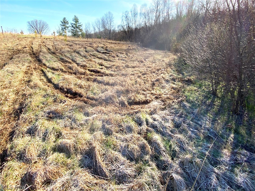 0 Twp Road Dexter City, OH 45727 - Photo 4 of 26