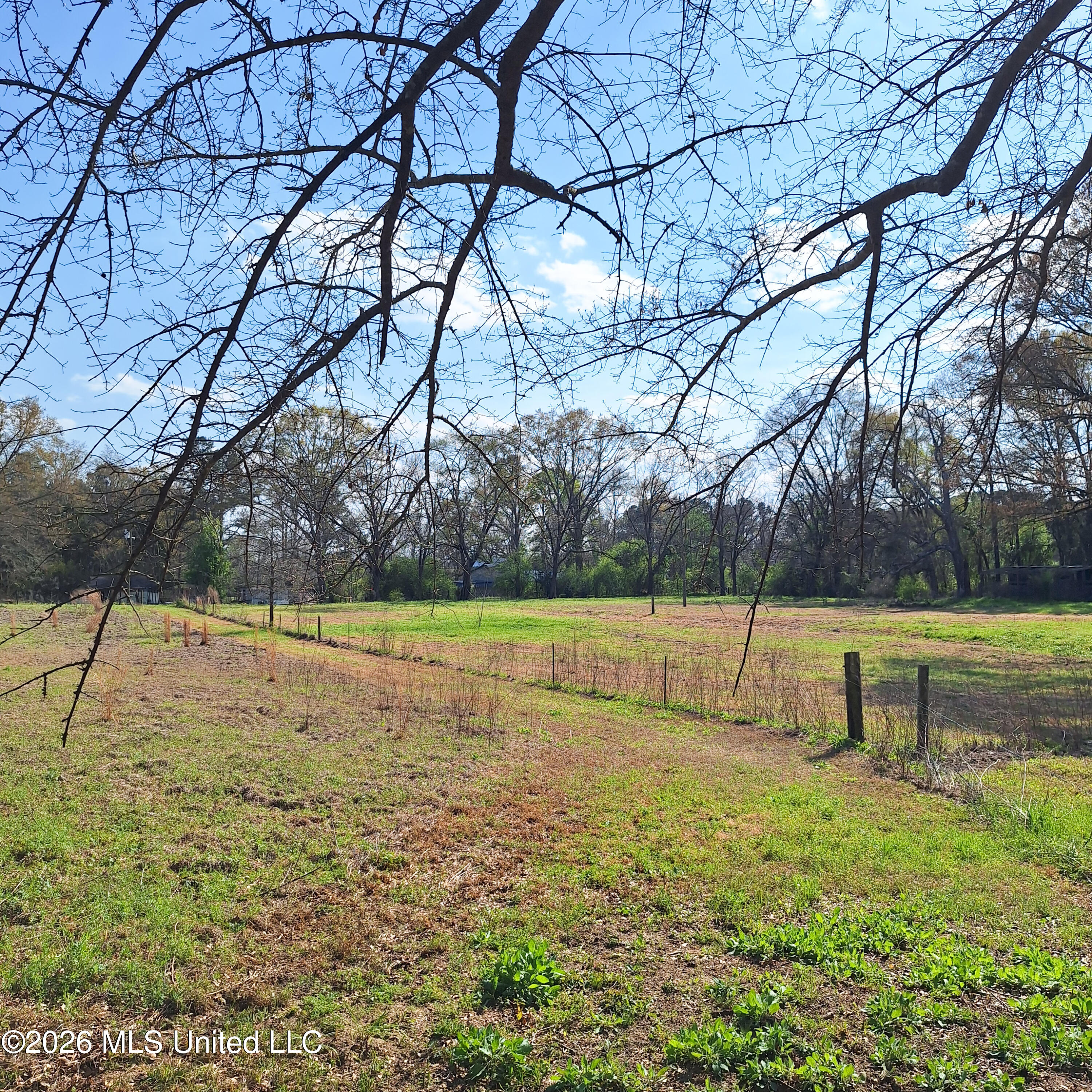1704 Pecan Road Newton, MS 39345 - Photo 25 of 25 20260319_160309