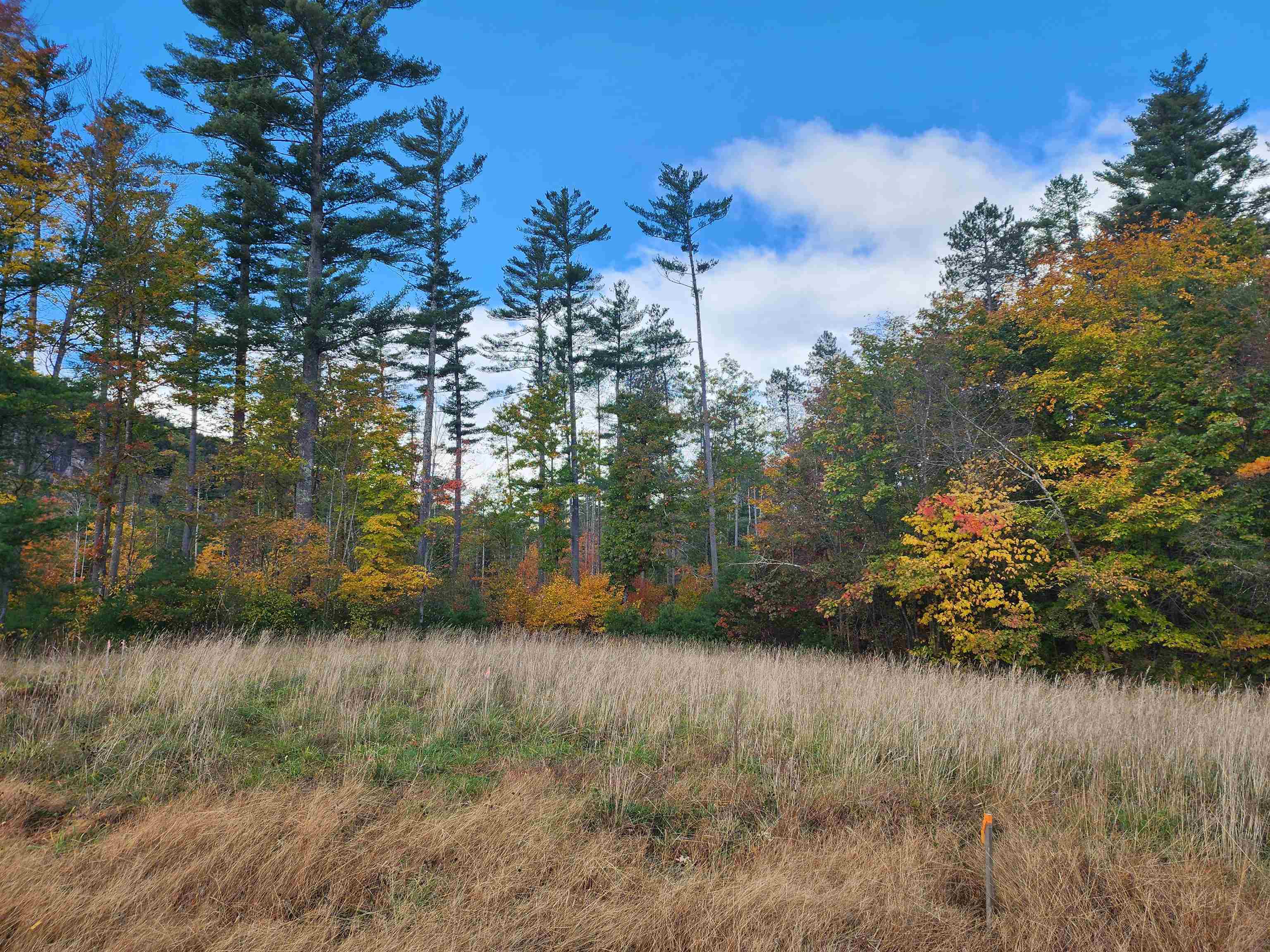 2 Lucy Brook Road North Conway, NH 03860 - Photo 14 of 22