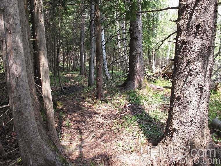 Tbd West Ridge Road Grand Marais, MI 49839 - Photo 5 of 12 Gallery Image 5