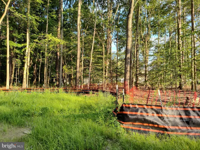 a view of a park with large trees