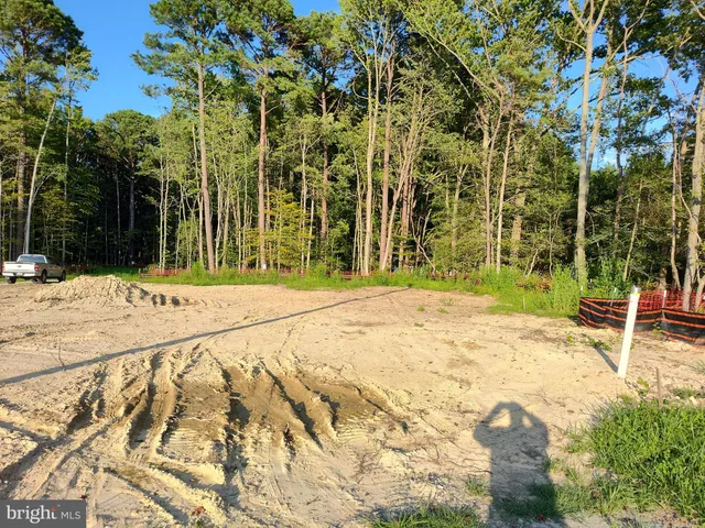 a view of a green field with lots of bushes