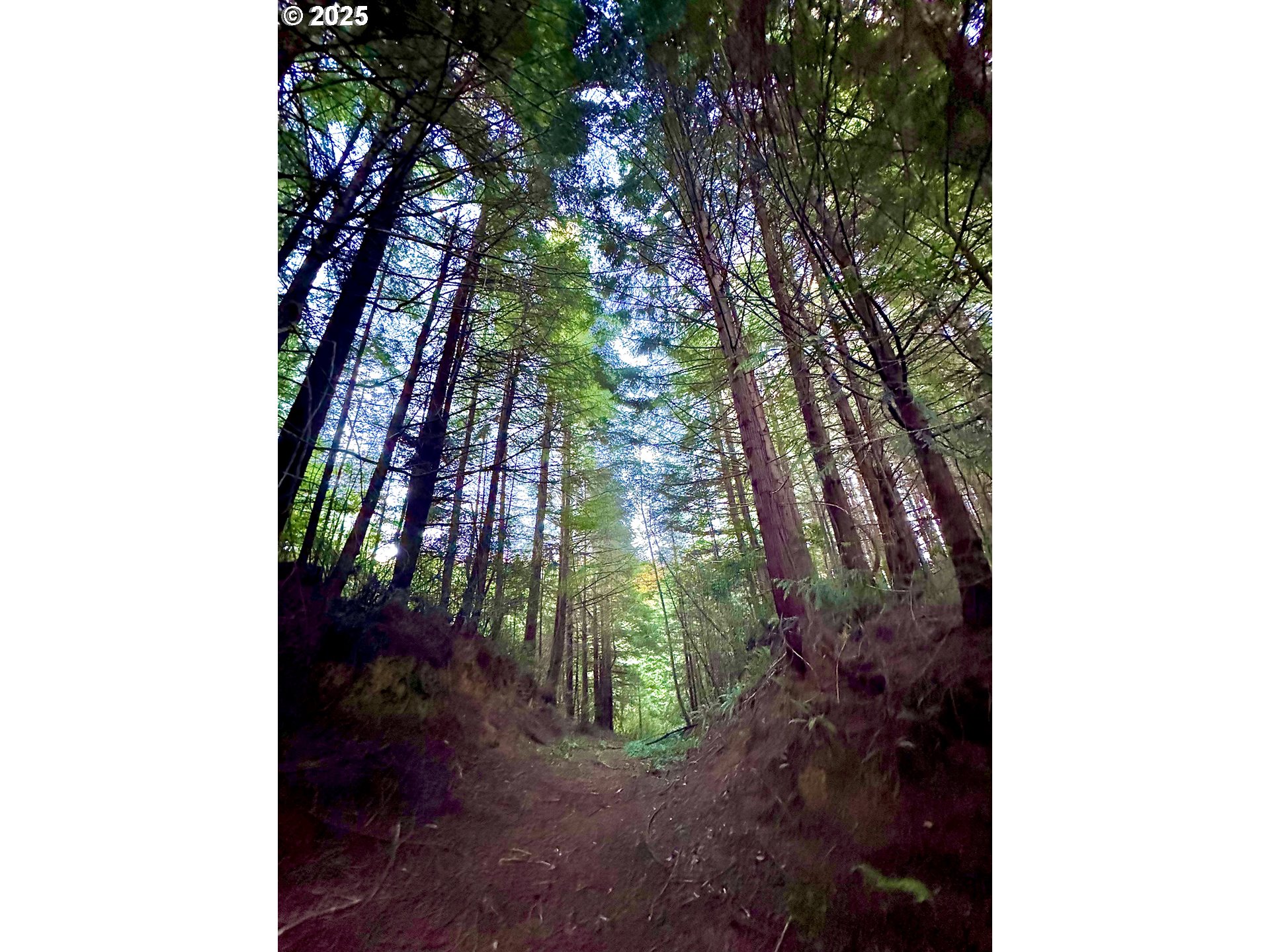 0 Old Wagon Road Coos Bay, OR 97420 - Photo 27 of 41 Gallery Image 27