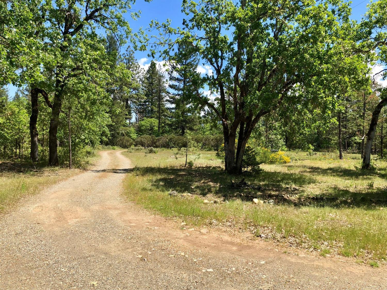 5940 Rockydale Road Cave Junction, OR 97523 - Photo 2 of 13 Additional Photo