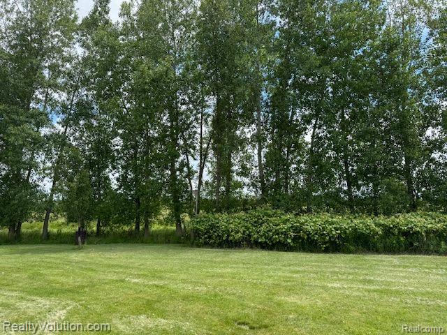 7602 Kilgore Road Avoca, MI 48006 - Photo 30 of 30