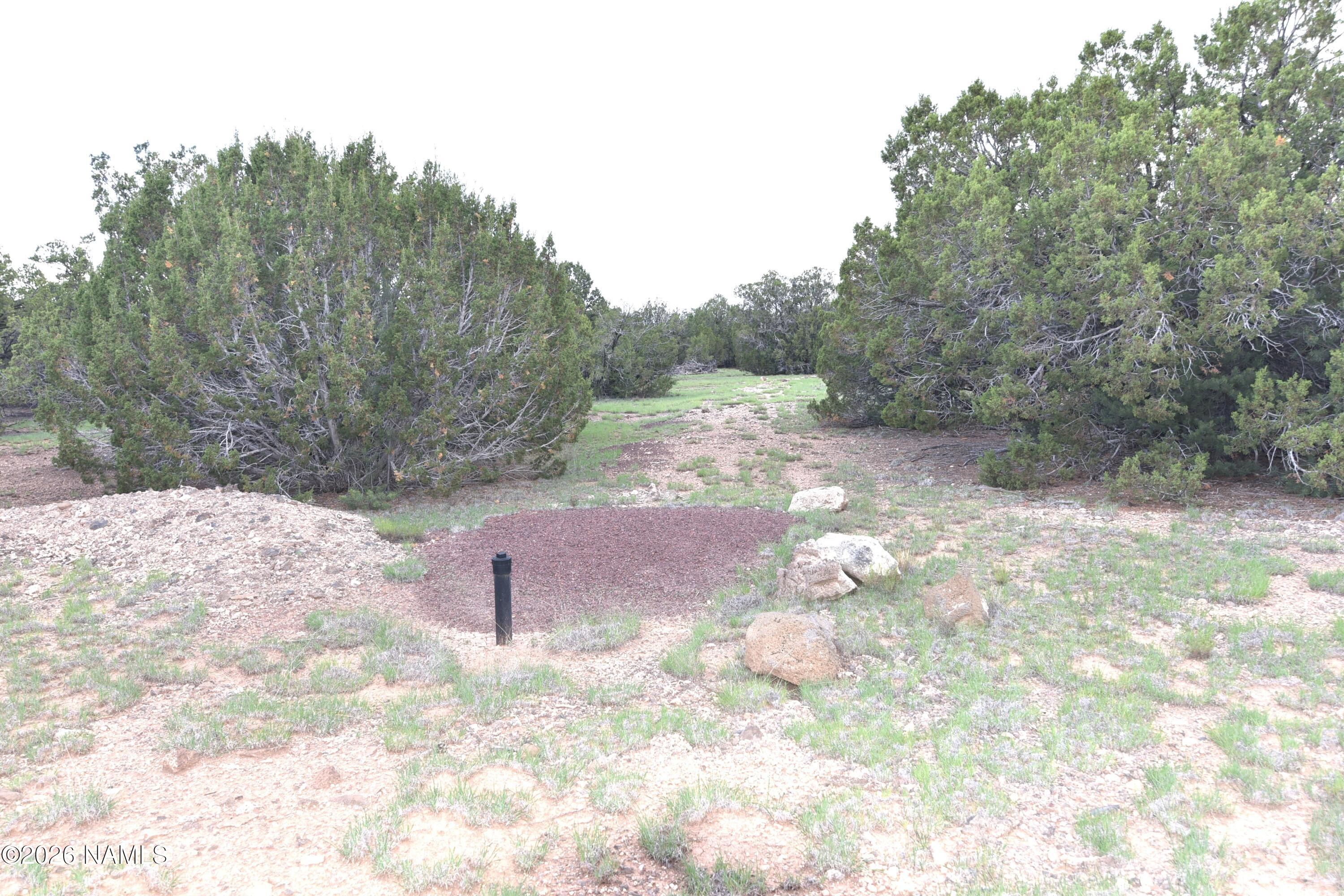 304 East Black Feather Road Williams, AZ 86046 - Photo 4 of 11 DSC_5321