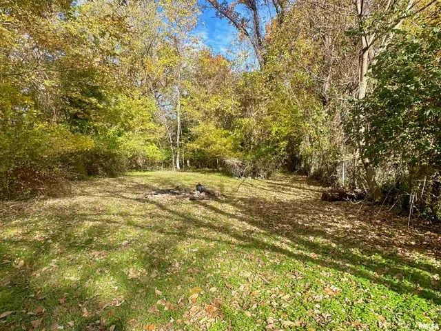a view of backyard with green space
