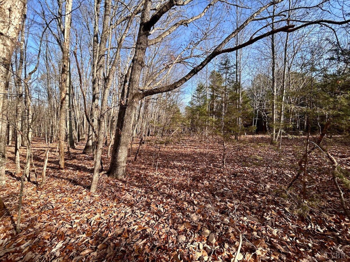 0 Wheeler Road Lynchburg, VA 24504 - Photo 11 of 69 a backyard of a house with lots of green space