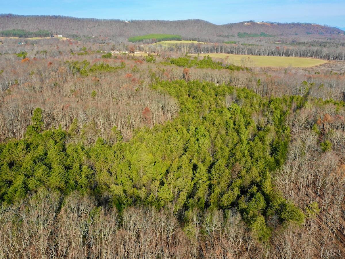 0 Wheeler Road Lynchburg, VA 24504 - Photo 12 of 69 a view of lake and mountain
