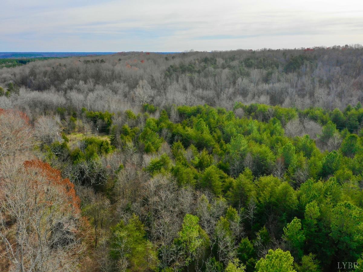 0 Wheeler Road Lynchburg, VA 24504 - Photo 13 of 69