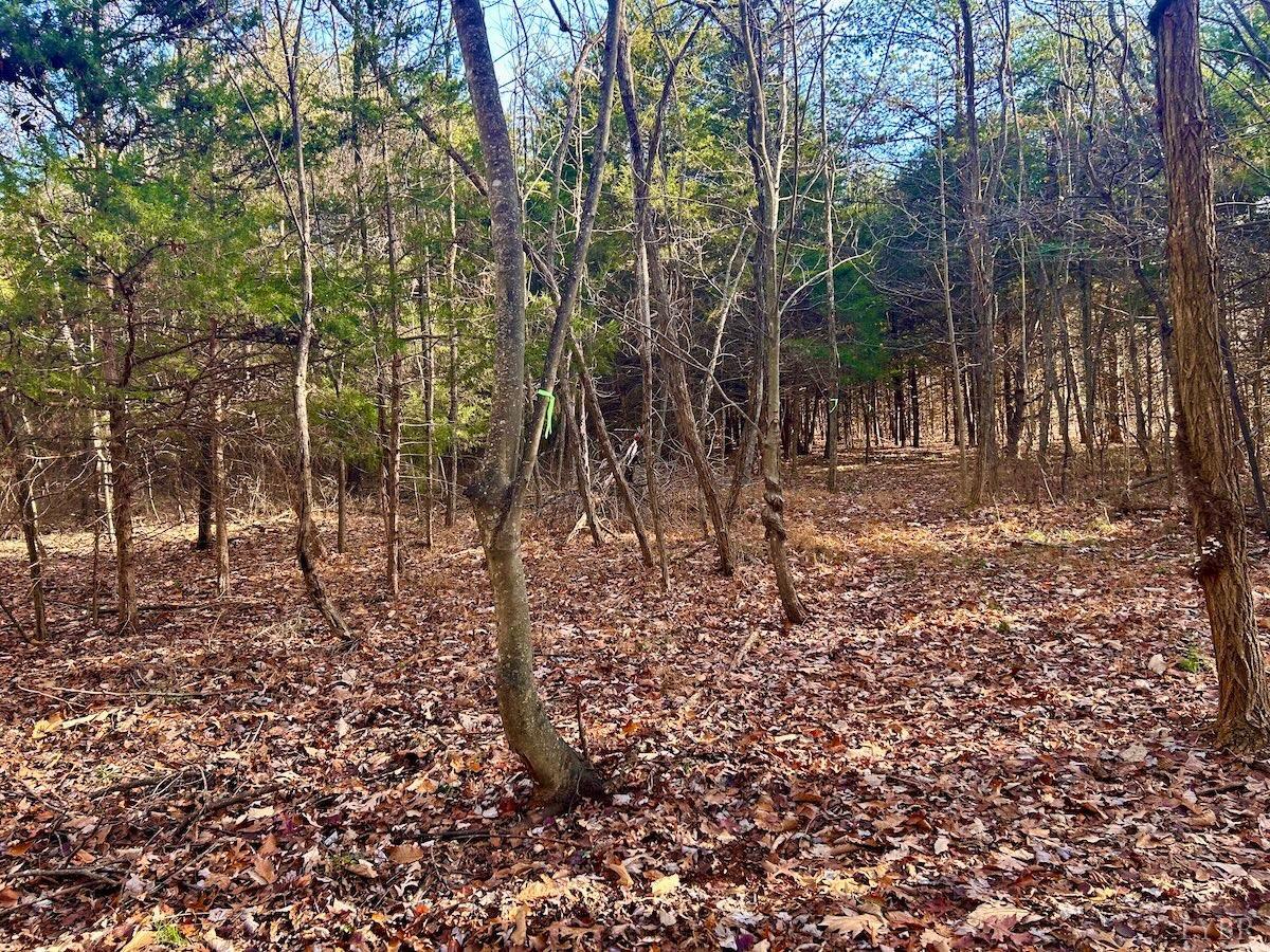 0 Wheeler Road Lynchburg, VA 24504 - Photo 14 of 69 a view of yard