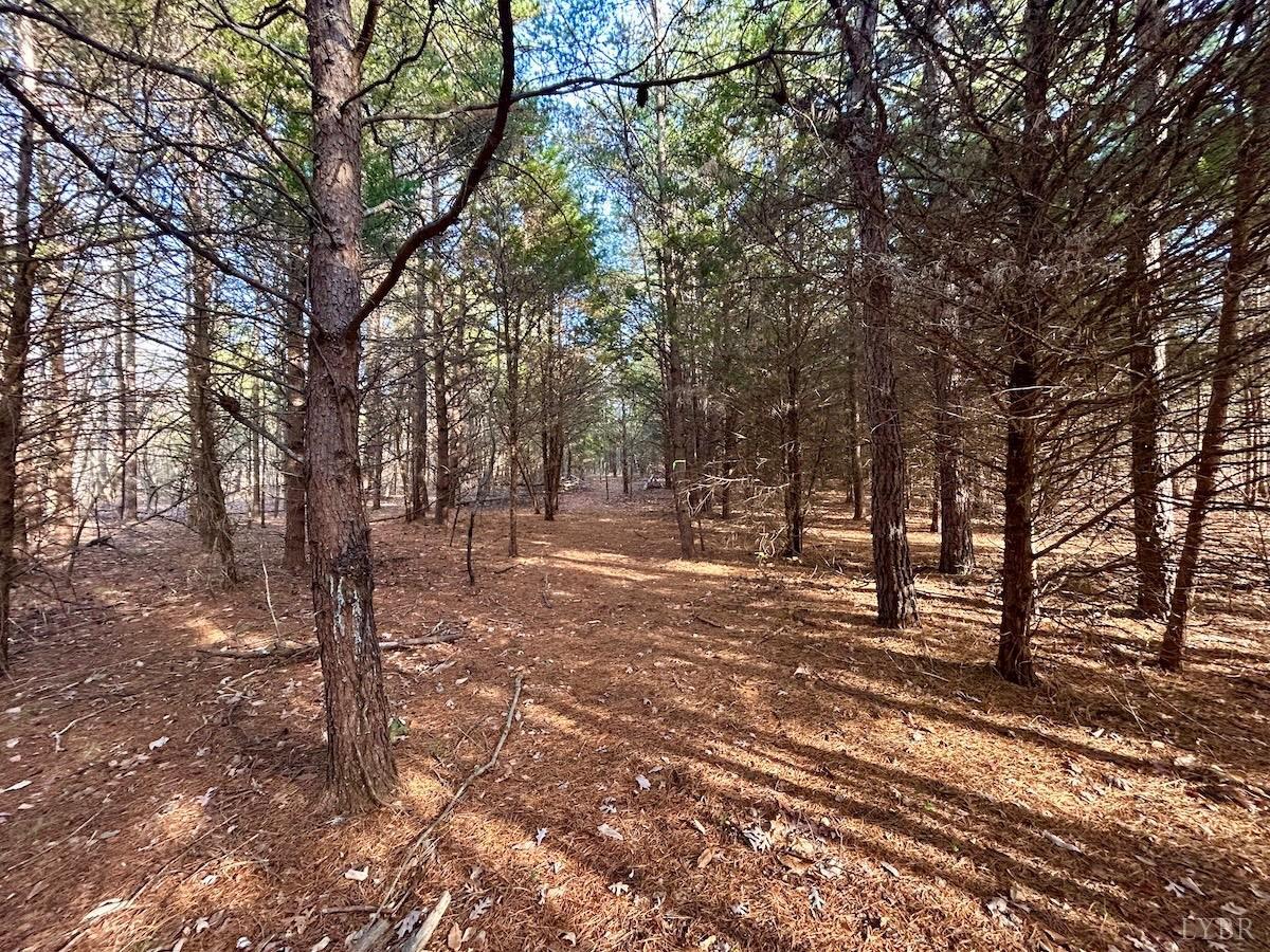 0 Wheeler Road Lynchburg, VA 24504 - Photo 15 of 69 a view of a yard with trees