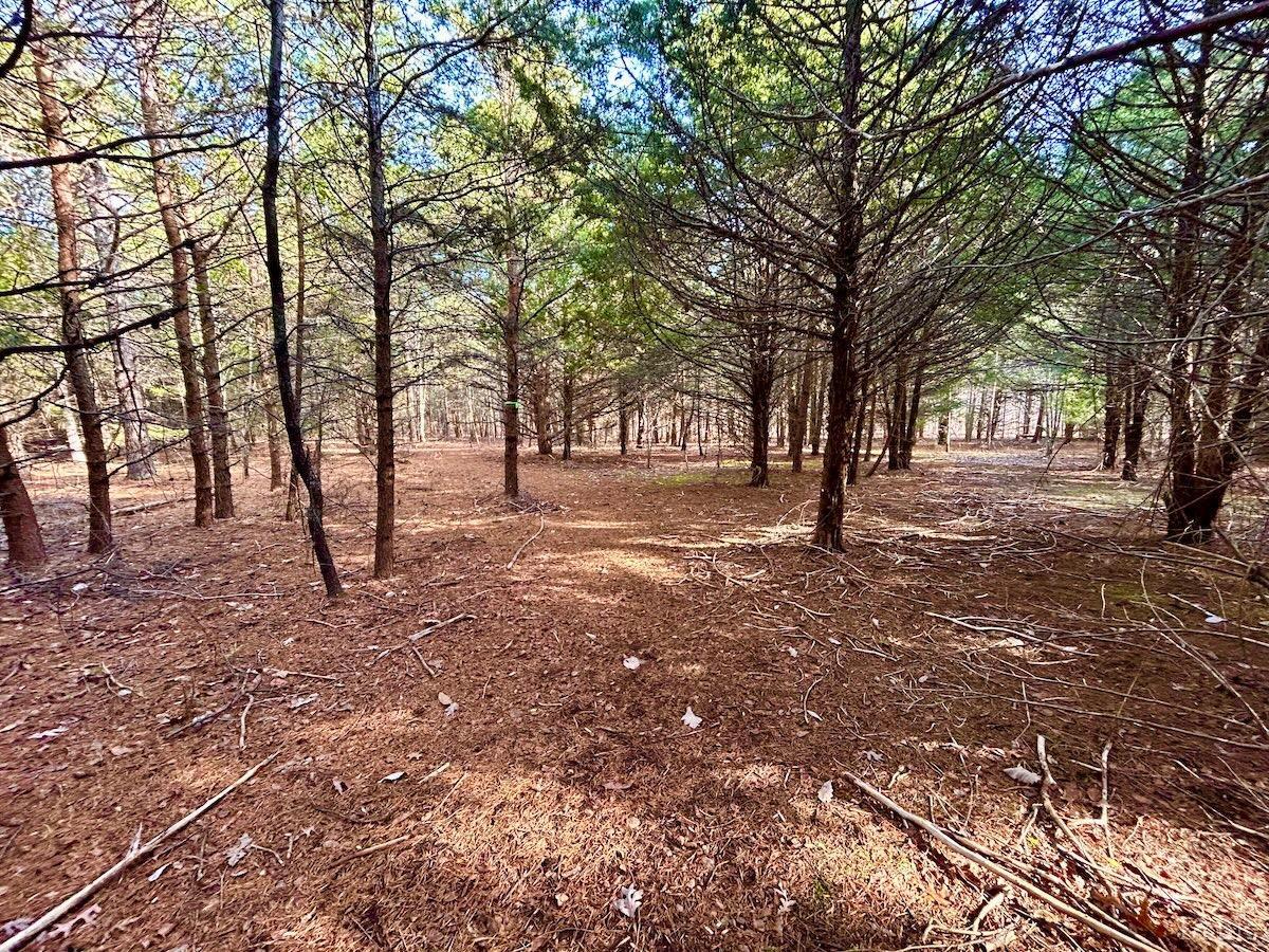 0 Wheeler Road Lynchburg, VA 24504 - Photo 17 of 69