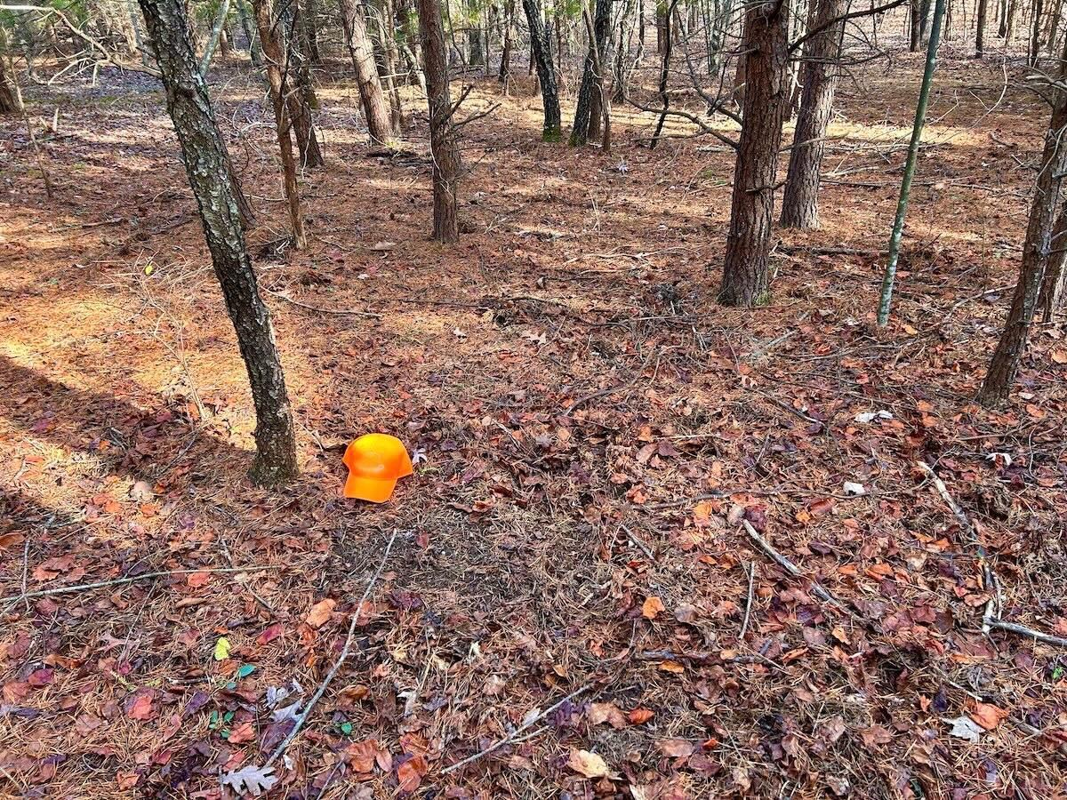 0 Wheeler Road Lynchburg, VA 24504 - Photo 18 of 69 a view of a forest