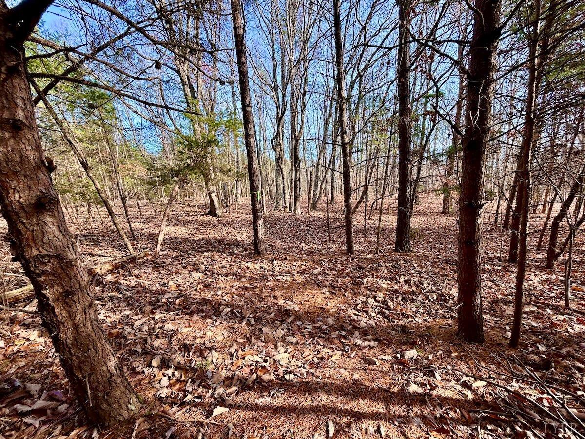0 Wheeler Road Lynchburg, VA 24504 - Photo 19 of 69 a view of a backyard with large trees