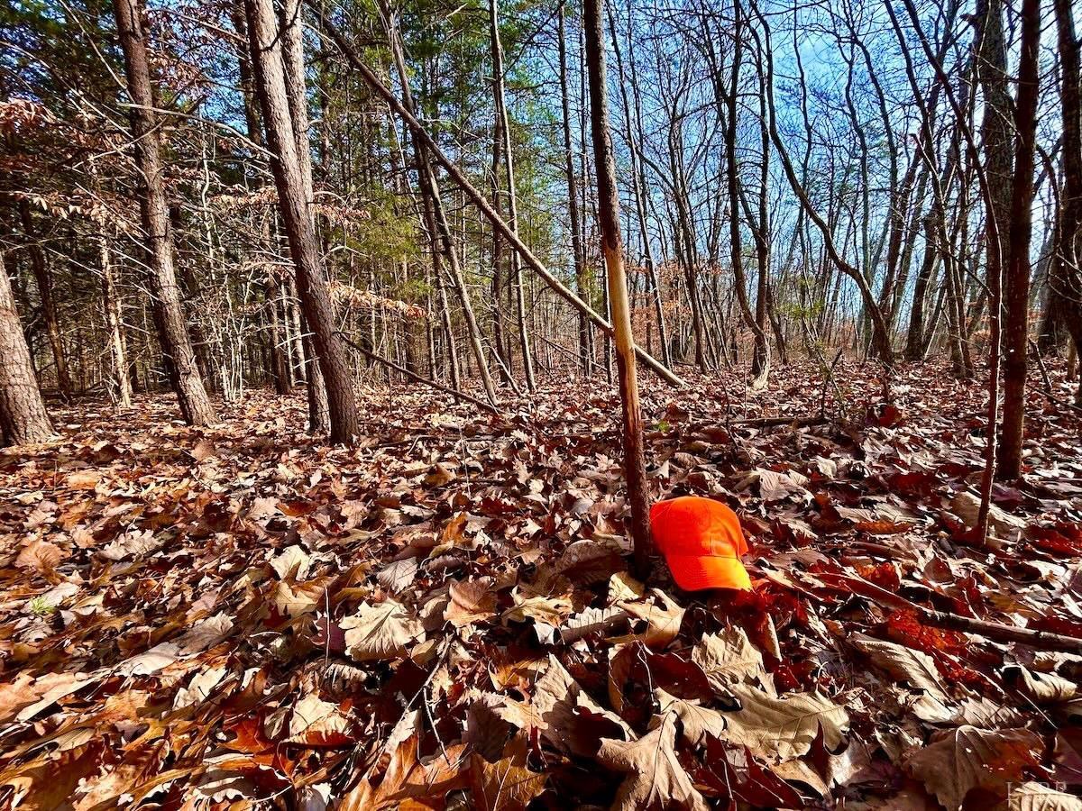 0 Wheeler Road Lynchburg, VA 24504 - Photo 20 of 69