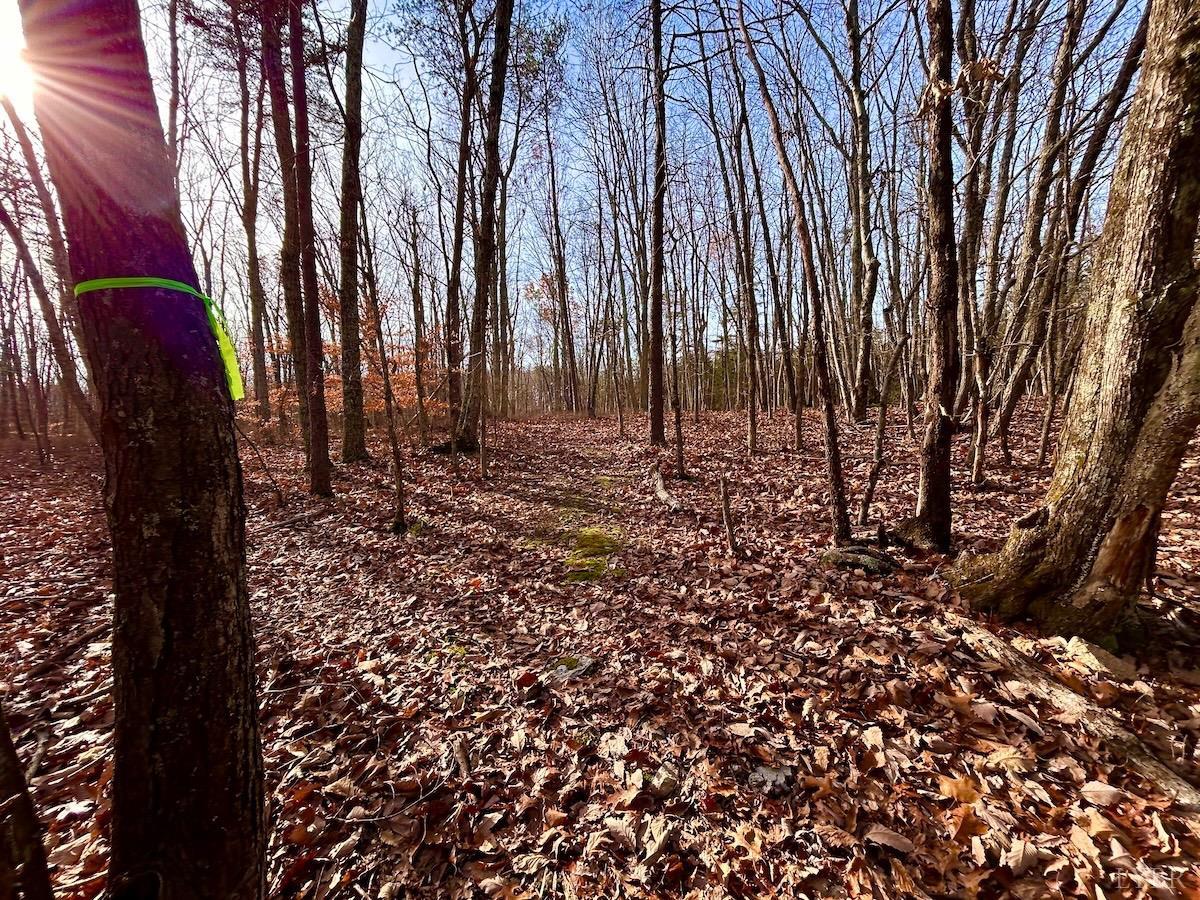 0 Wheeler Road Lynchburg, VA 24504 - Photo 21 of 69 a backyard of a house with lots of green space