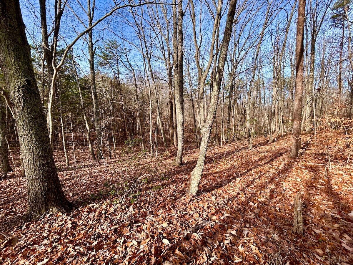 0 Wheeler Road Lynchburg, VA 24504 - Photo 22 of 69 a backyard of a house with lots of green space