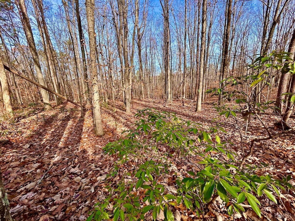 0 Wheeler Road Lynchburg, VA 24504 - Photo 24 of 69 a view of garden