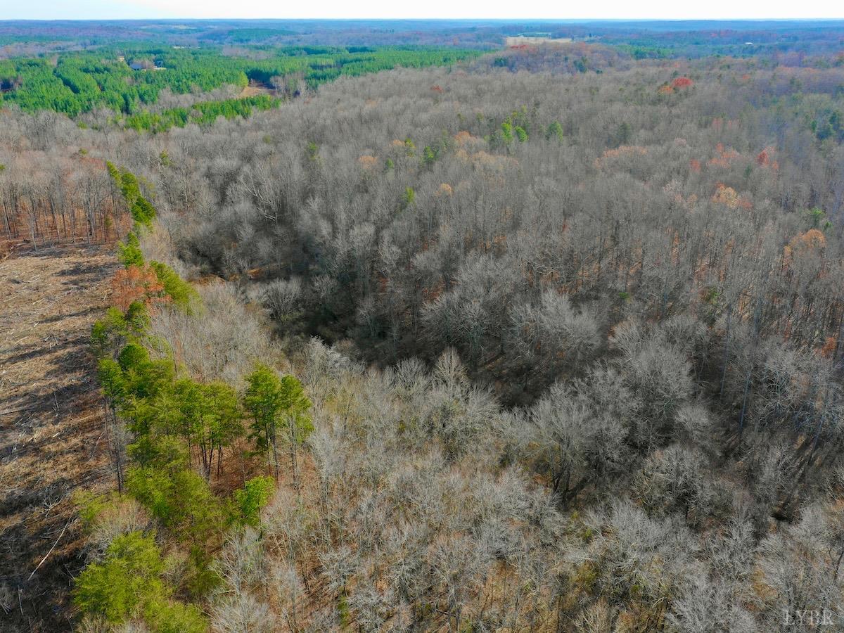 0 Wheeler Road Lynchburg, VA 24504 - Photo 27 of 69 a view of a field of grass and trees
